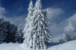 Weihnachtsurlaub 2025/2026