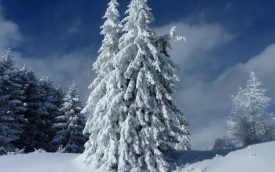 Weihnachtsurlaub 2025/2026