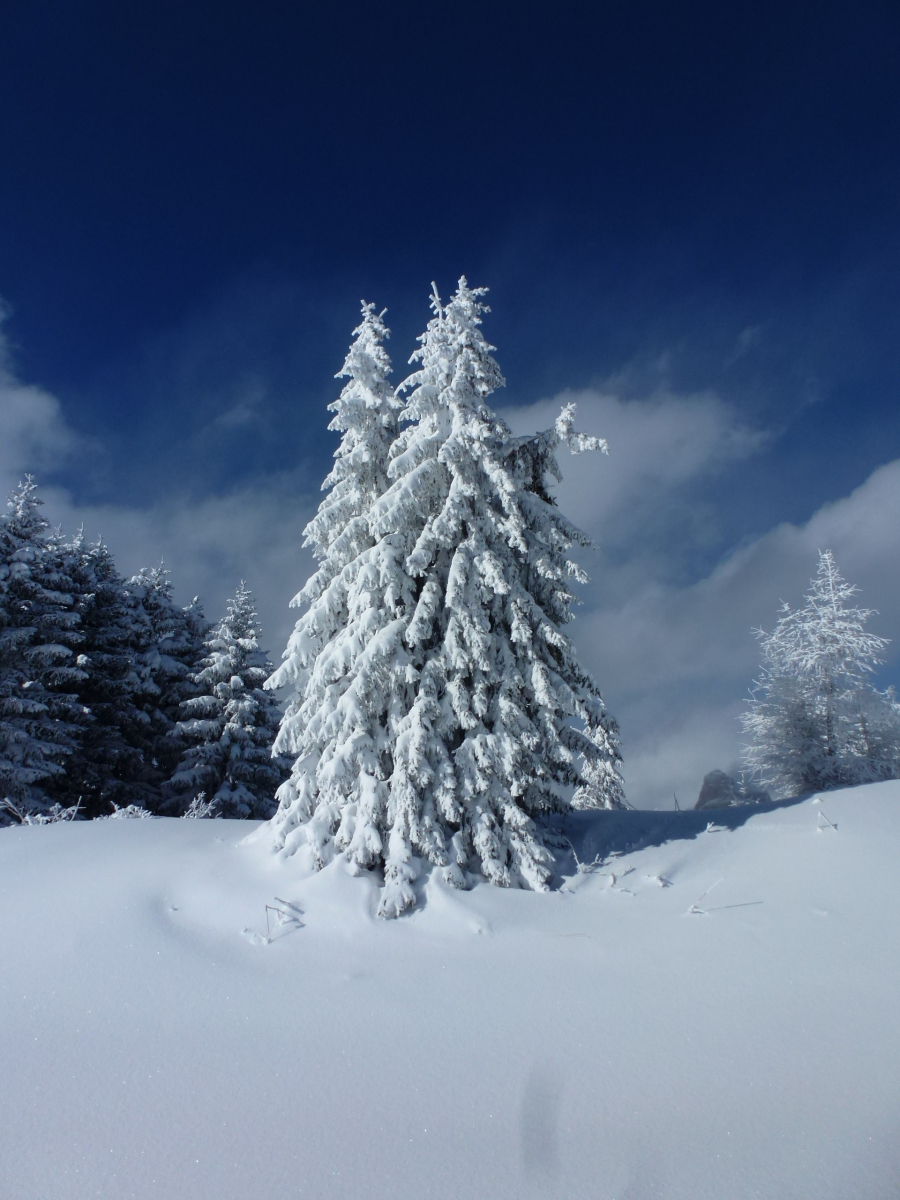 Weihnachtsurlaub 2025/2026
