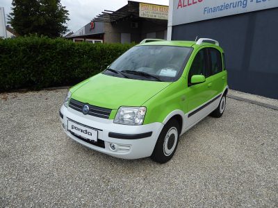 Fiat Panda 1,2 Alessi bei RENATE LEITHNER E. U. in Wien