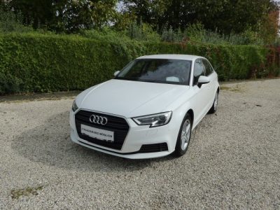 Audi A3 SB 30 TDI bei RENATE LEITHNER E. U. in Wien