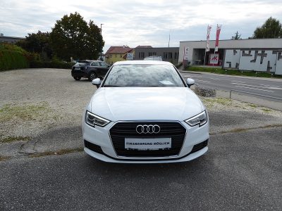 Audi A3 SB 30 TDI bei RENATE LEITHNER E. U. in Wien